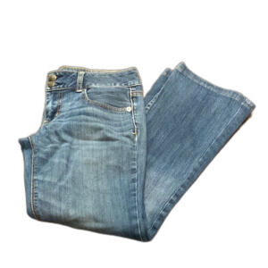 American Eagle Outfitters Bootcut Jeans Artist